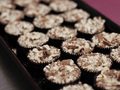 Salted Caramel Pecan Chocolate Cups